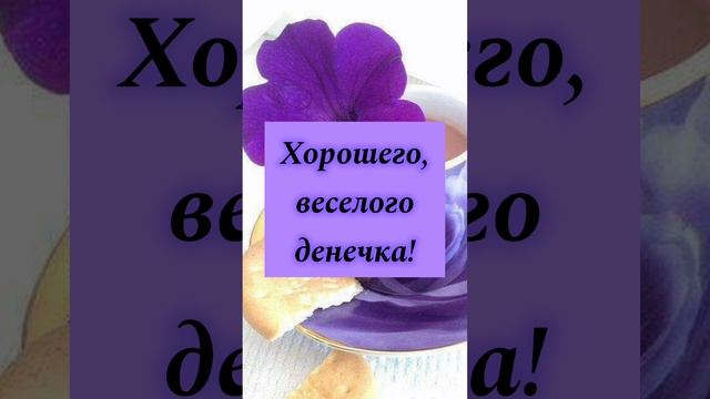 Доброе утро! 24 февраля 2024 суббота