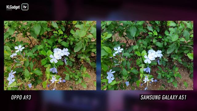 OPPO A93 Vs Samsung Galaxy A51: Battle Of The Midrangers!