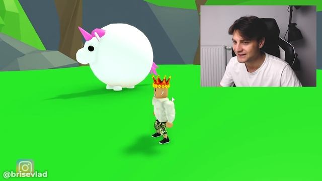 НЕ ДАВАЙ ЭТО ЗЕЛЬЕ СВОЕМУ ПЕТУ В ADOPT ME ROBLOX! смотреть онлайн