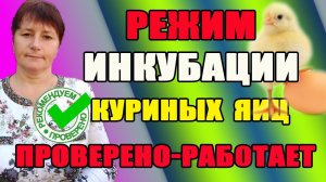 Режим инкубации куриных яиц. Режим отработан - отличный результат.
