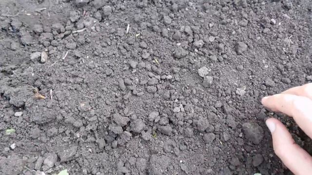 Фитнес и Тренировки