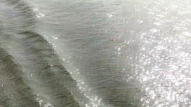 Речной порт города Ульяновска. Прогулка на теплоходе по Волге. Май 2021. A Boat Trip Along The Volg