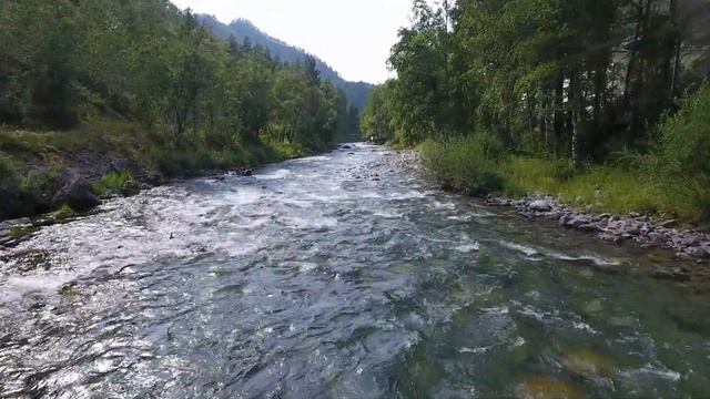 Горный Алтай 15.08.2019 Река Куба Чемальский район  Урочище Ареда