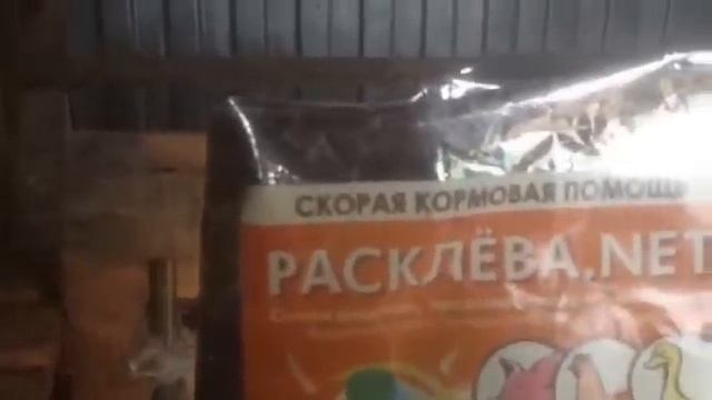 Разведение мулардов и несколько фактов о них. смотреть онлайн