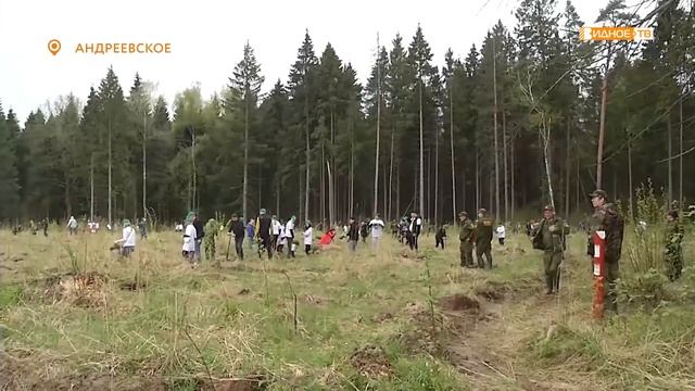 ЛЕС ПОБЕДЫ смотреть онлайн