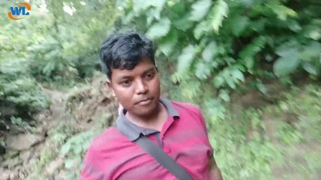 Jungle Journey /जंगल यात्रा / Latehar Bokakhad смотреть онлайн