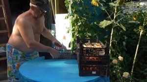 Самый простой способ сушки фруктов. Сухофрукты