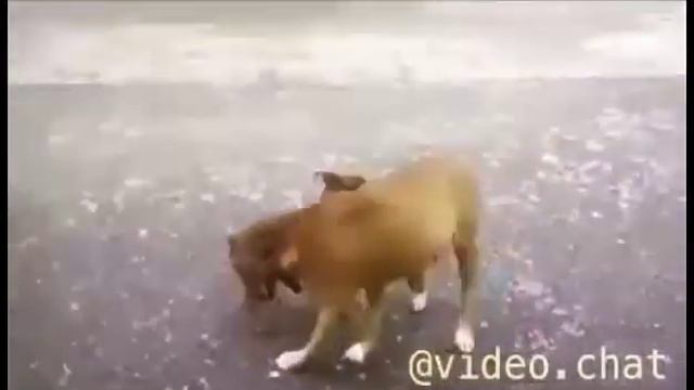 Вот что значит любовь смотреть онлайн
