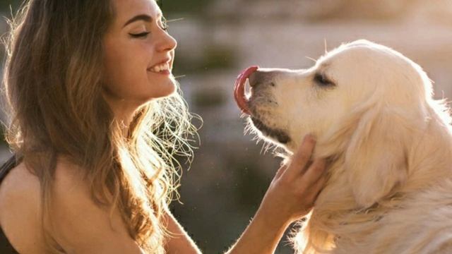 ПОЧЕМУ СОБАКА ЛЮБИТ СПАТЬ С ЧЕЛОВЕКОМ. ДРУЖБА. ПРЕДАННОСТЬ. СМЕЛОСТЬ. ОХРАНА. ЗАЩИТА. ВЕРНОСТЬ. смотреть онлайн