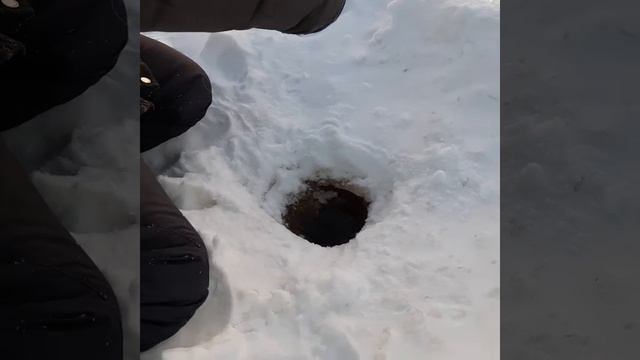 Есть улов! Ловим на жерлицы. смотреть онлайн