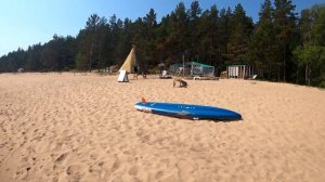 ЭПИЗОД 79. Нашли идеальное место для палатки на Ладожском озере | Ленобласть