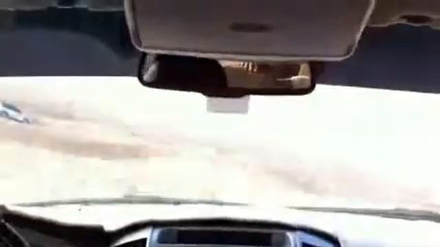 Джипинг сафари смотреть онлайн