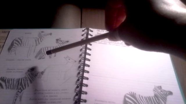 Учимся рисовать зебру!!!!!!!!! смотреть онлайн