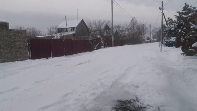 Закаляйся, как я без суеты. И будете здоровыми, как собаки. смотреть онлайн