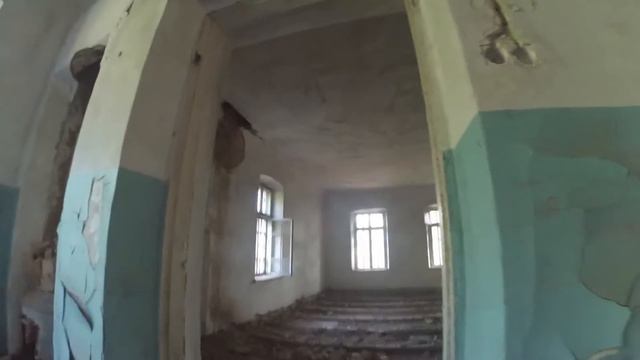 Vlog: Психбольница смотреть онлайн