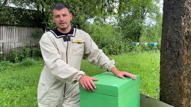 Улья за 55$ обоср…ал? Или указал на недостатки?)) смотреть онлайн