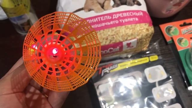 BloG/GLAMBOX/ПОДСТРИГЛИ ЕВУ/ПОКУПКИ