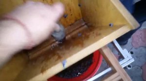 Давилка для винограда-2