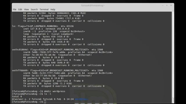 Instalacja Wordpress, PhpMyAdmin oraz FTP na serwerze VPS z użyciem wirtualizacji Docker смотреть онлайн