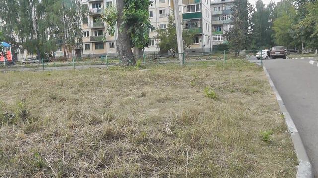 29.07.2016 В Казани засуха - трава высохла. 04960 смотреть онлайн