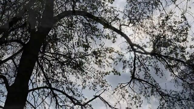 Чему бы жизнь нас не учила... смотреть онлайн