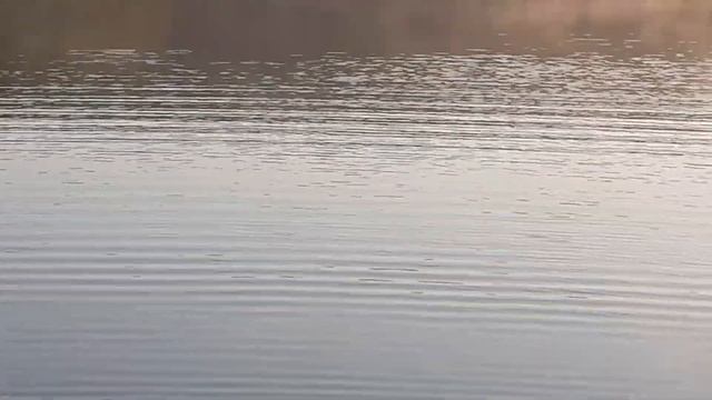 все говорят что симплекс со временем пропускает воду. плавает как топор. смотреть онлайн