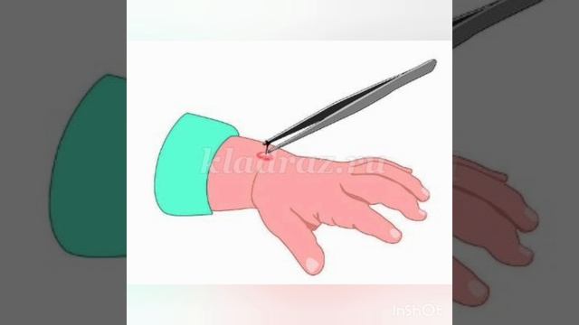 правила поведения летом по безопасности