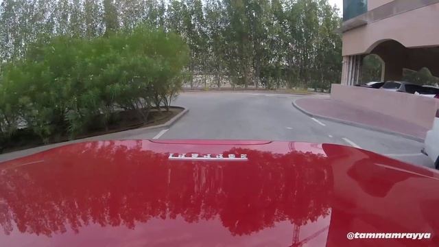 Morning Drive on a Horse| Ferrari Portofino смотреть онлайн
