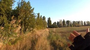 Одиночное мотопутешествие на АЛЬФЕ длиной в 3000км. Часть 1. Дальняк на Альфе.