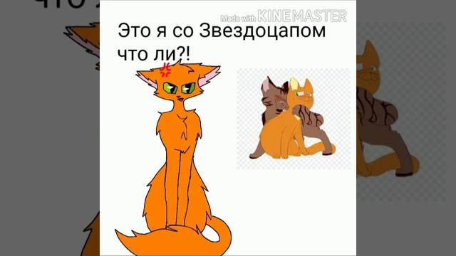 Реакция Огнезвезда на шипы смотреть онлайн