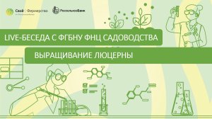 Выращивание люцерны