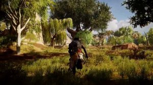 Assassin's Creed: Origins - Царское дерево