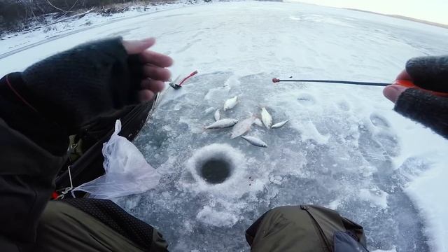 Вот это ПЛОТВА!!!Зимняя рыбалка-ловля плотвы на безмотылку-гвоздекубик смотреть онлайн