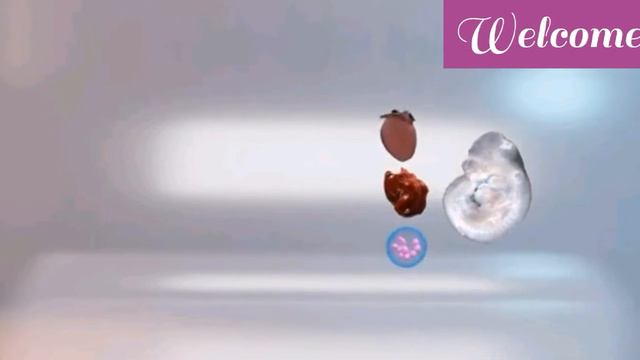 Scientists made chimera Mice as a part of human cells. смотреть онлайн