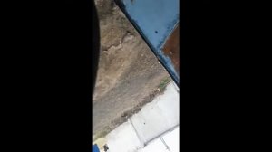 Как установить дефлектор капота(мухобойка) за 5 минут.