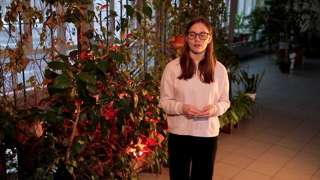 Правила пожарной безопасности и поведения на природе смотреть онлайн