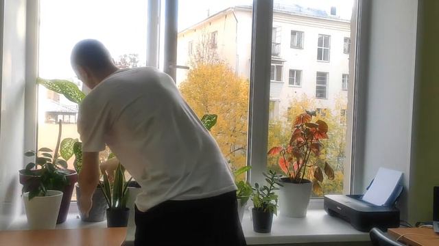 Пересадка цветов в офисе | делимся результатом смотреть онлайн