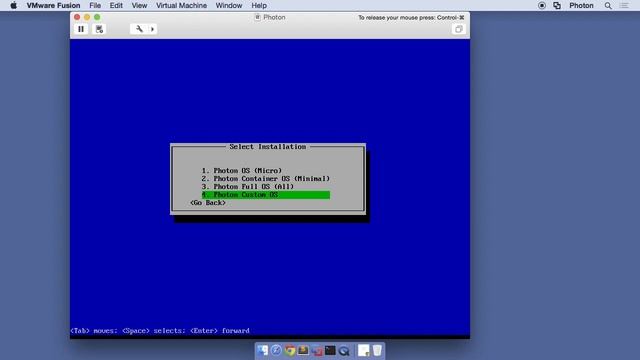 Use VMware Fusion to get started with Project Photon container runtime смотреть онлайн