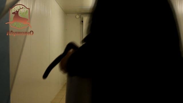 Пантовое оленеводство, Сафари-парк Мушкино, ферма по разведению европейского благородного оленя смотреть онлайн