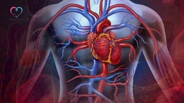 Çaytikanı Yağının FAYDALARI