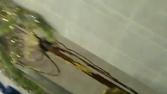 Прикол Эдуард Суровый биография смотреть онлайн