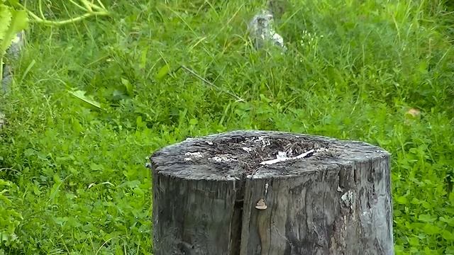 Оружие дробящего эффекта!