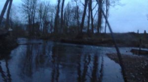 Как ловить форель. Ловля форели Весной.#какловитьфорель#ловляфореливесной#troutfishing#trout#рыбалк