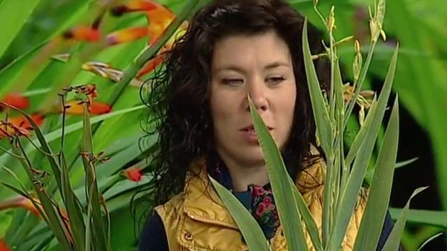 Советы ландшафтного дизайнера׃ Многолетники, не зимующие в грунте смотреть онлайн