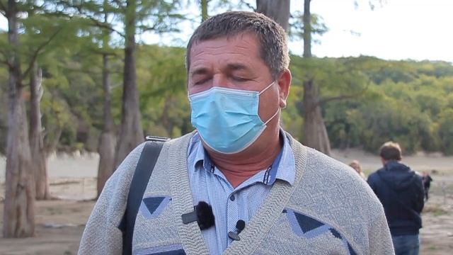 Впервые почти что за сто лет в Анапе были пересажены кипарисовые сеянцы смотреть онлайн