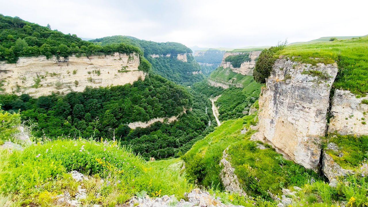 Crickets sound, birdsong and mountain river sound смотреть онлайн