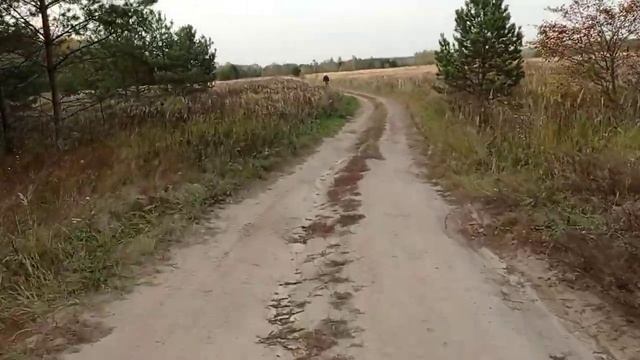 Вдоль реки Киржач на резвых мопедах ЗиД Пилот 50 смотреть онлайн