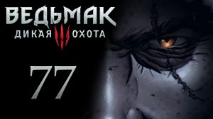 The Witcher 3 / Ведьмак 3 - Поиски шпиона - Прохождение игры на русском [#77] | PC (2017 г.)