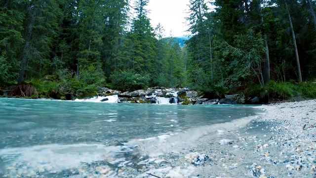 Summer forest birds singing soothing sounds, flowing water / Летний лес Пение птиц успокаивающий смотреть онлайн
