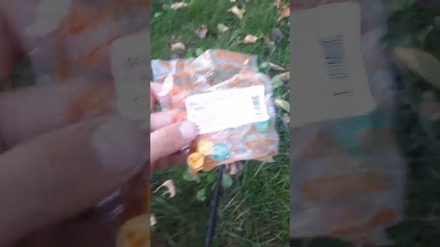 обзор на опрыскиватель STIHL SG51 смотреть онлайн